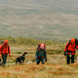 Tre personer på tur med hund iført vandretøj og rygsække. 