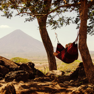 Hammock