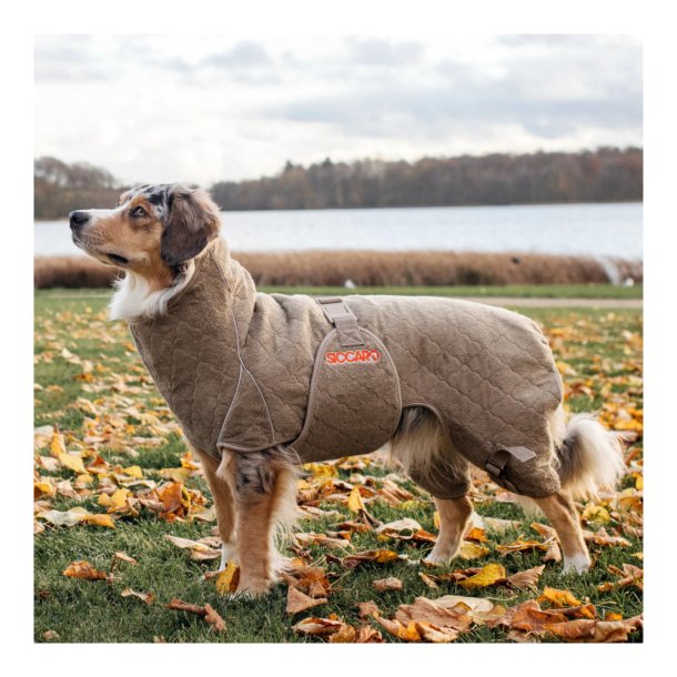 Siccaro - Solution Hunde Trredragt Sand 60