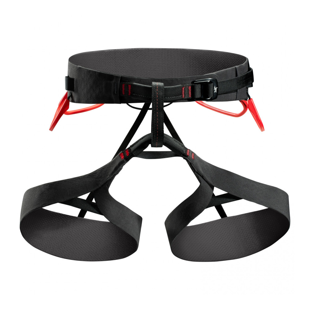 Men's AR395A Harness by Arc'teryx Purchase online here