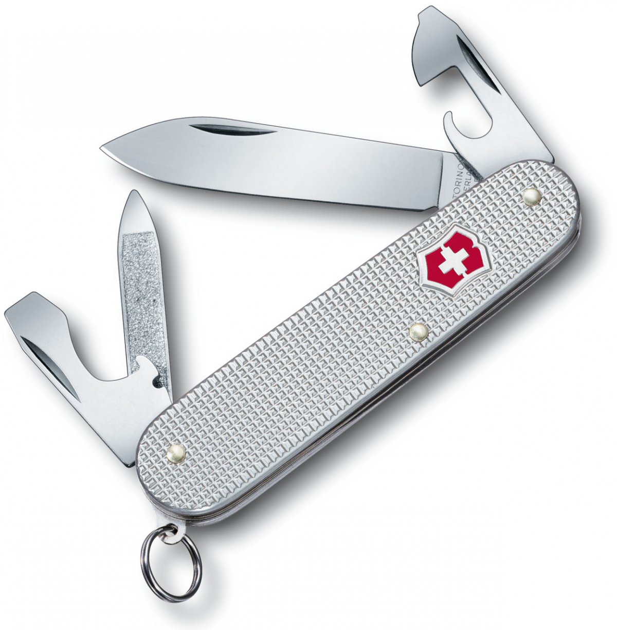 Victorinox on sale cadet backpack